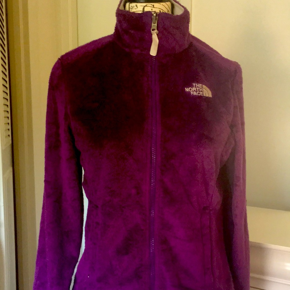 THE NORTH FACE purple teddy jacket